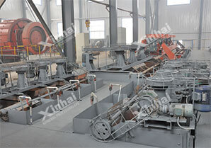 Xinhai flotation process