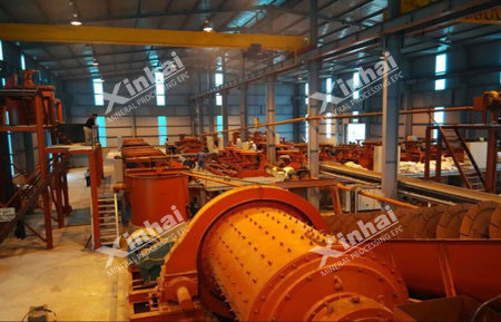 Xinhai gold flotation process