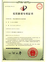 Patent certification