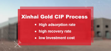 Xinhai Gold CIP Processing