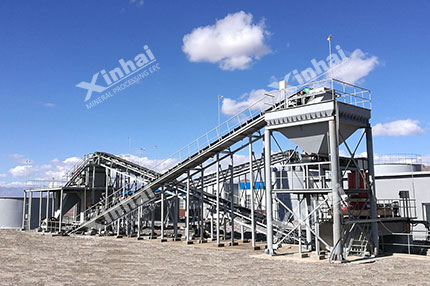 Silver Flotation Production Line