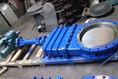 Knife Gate Valve-case