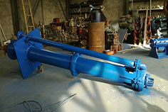 Submerged Slurry Pump-case